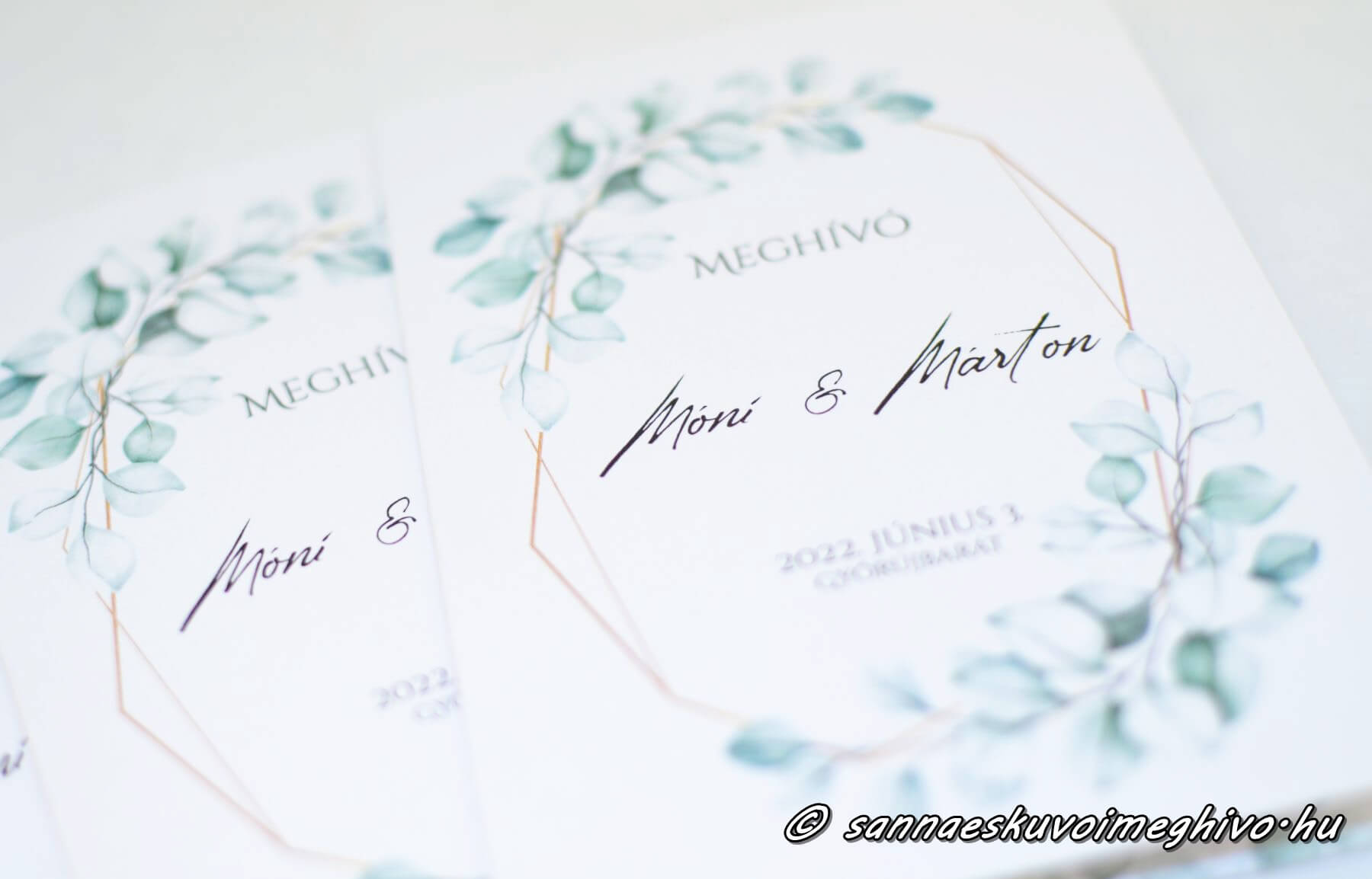 eskuvoi-meghivo-greenary-alok-sannaeskuvoimeghivo2206171 Greenary álom meghívóm első oldala